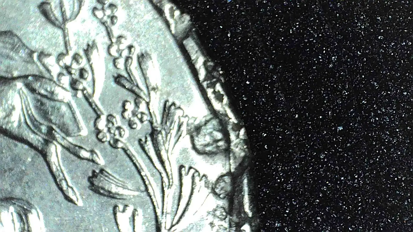2006-D-Nevada-Quarter.-What-Is-This-Error?